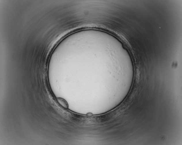 X0000115350895200911241150