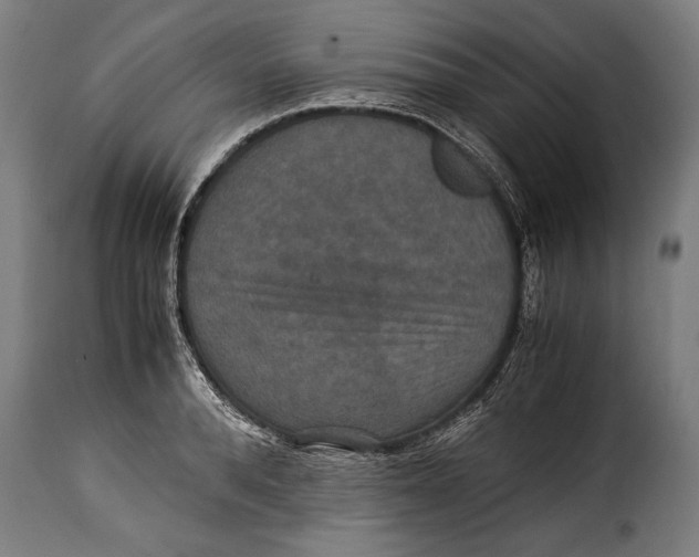 X0000115350896200911241150