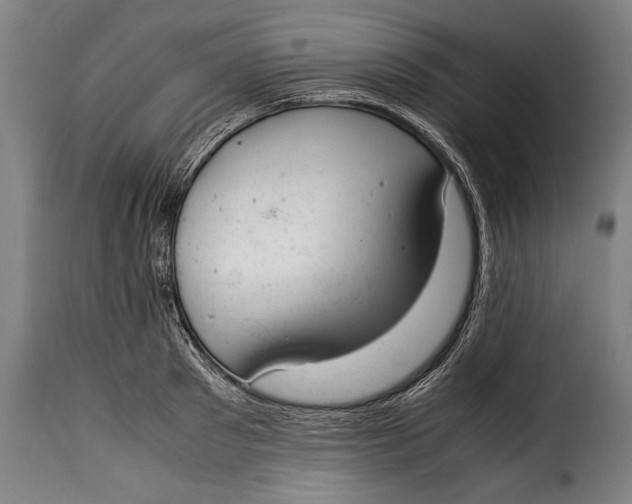 X0000115350897200911241150