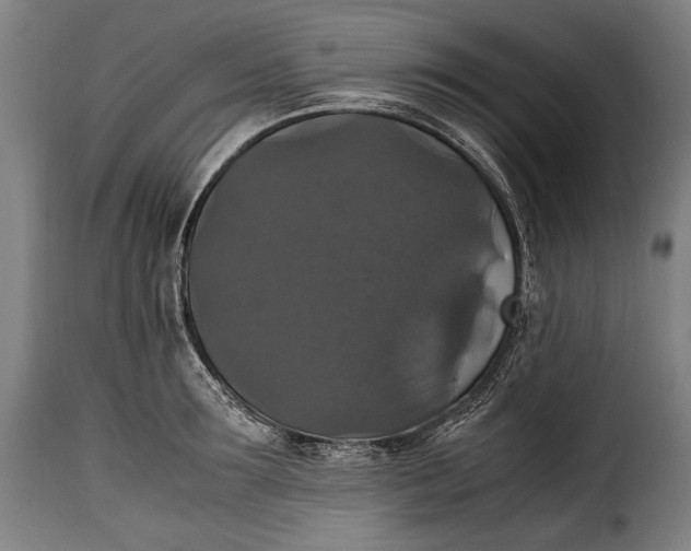 X0000115350899200911241150