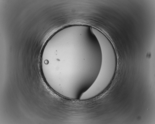 X0000115350901200911241150