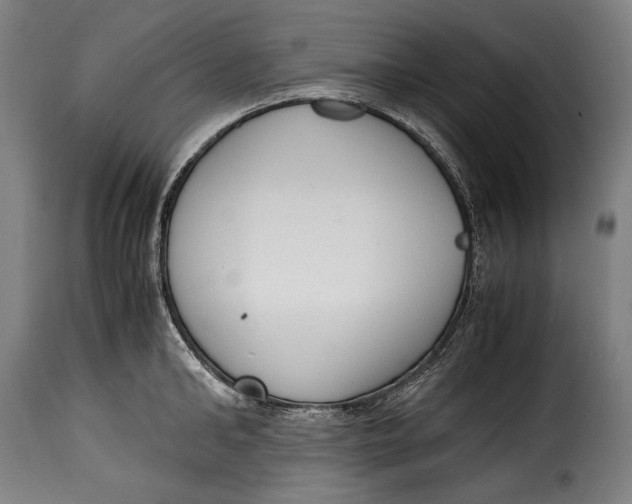 X0000115350902200911241150