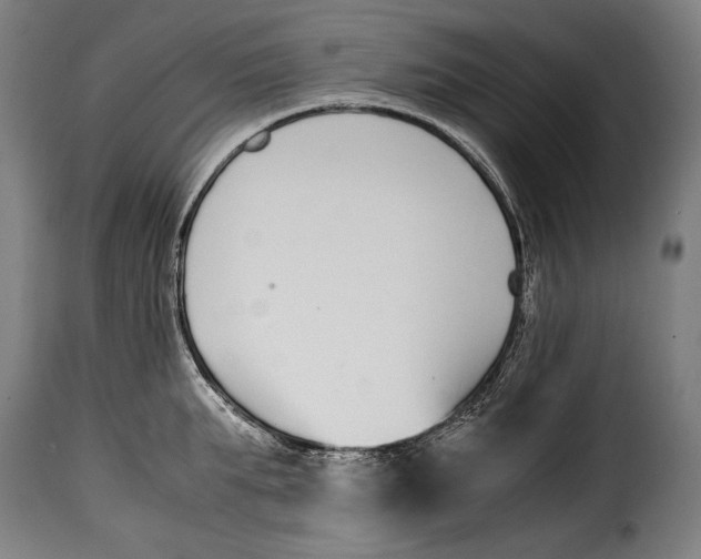 X0000115350903200911241150