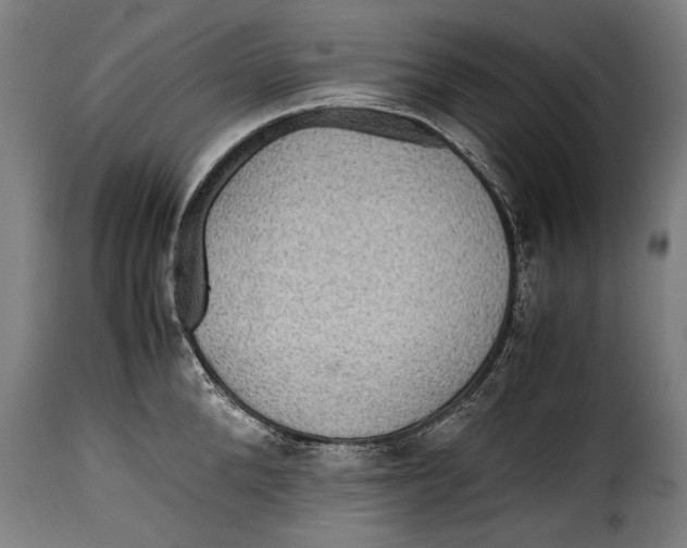 X0000115350904200911241150