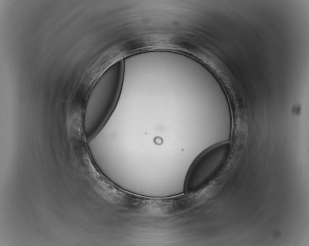 X0000115350905200911241150