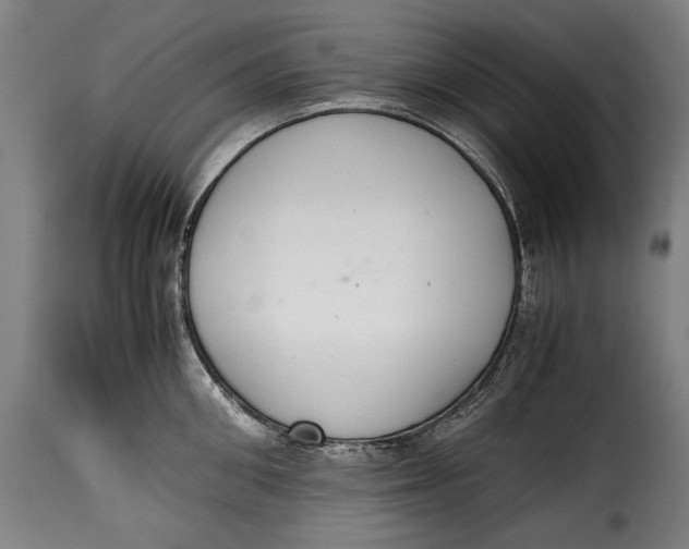 X0000115350906200911241150