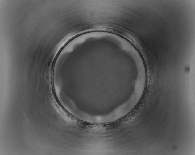 X0000115350907200911241150