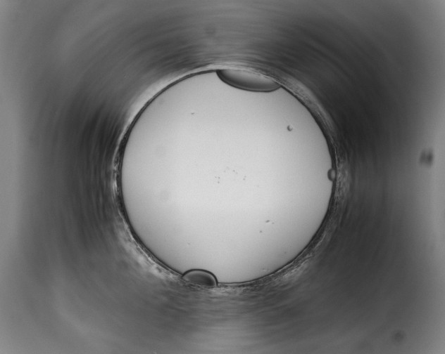 X0000115350908200911241150
