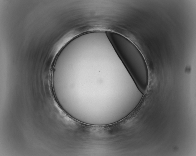 X0000115350909200911241150