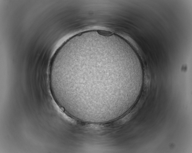 X0000115350910200911241150