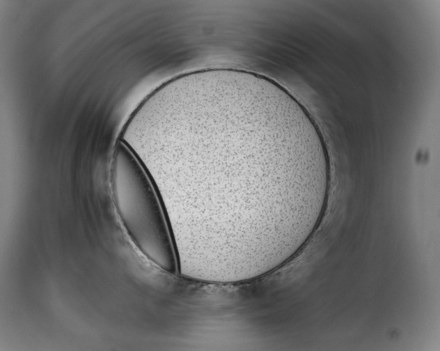 X0000115350912200911241150