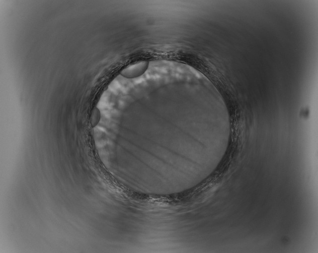 X0000115350913200911241149