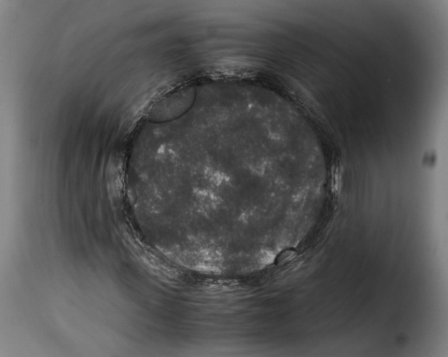 X0000115350915200911241149