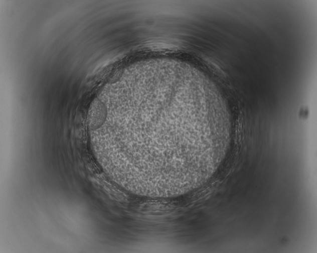 X0000115350917200911241149