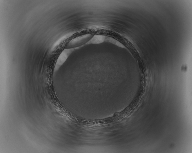 X0000115350919200911241149