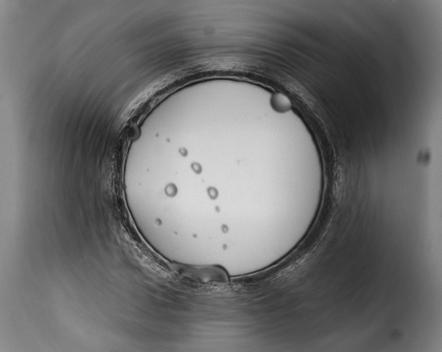 X0000115350922200911241149