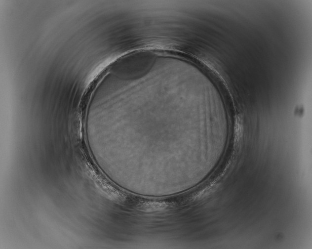 X0000115350925200911241149