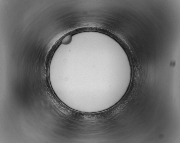 X0000115350927200911241149