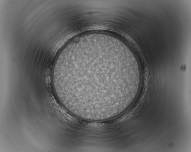 X0000115350929200911241149