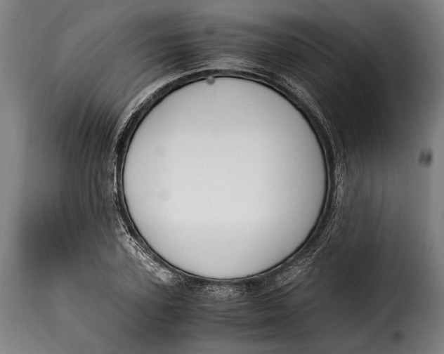 X0000115350931200911241149