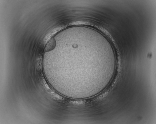 X0000115350937200911241149