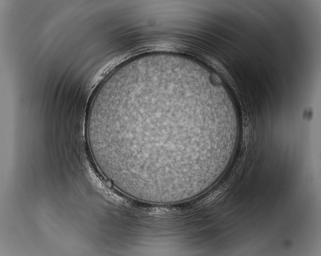 X0000115350938200911241149