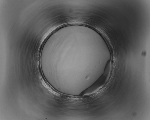 X0000115350941200911241150