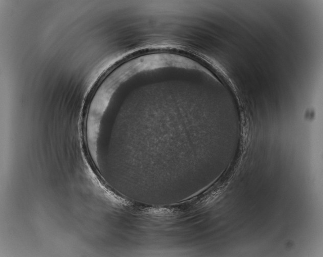 X0000115350943200911241150