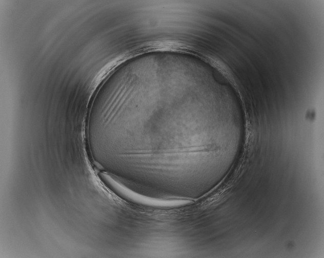 X0000115350946200911241150