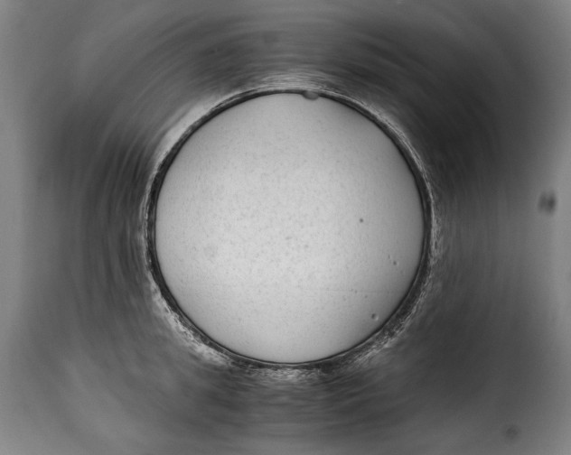 X0000115350949200911241150