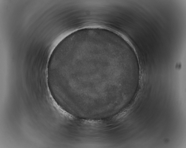 X0000115350951200911241150