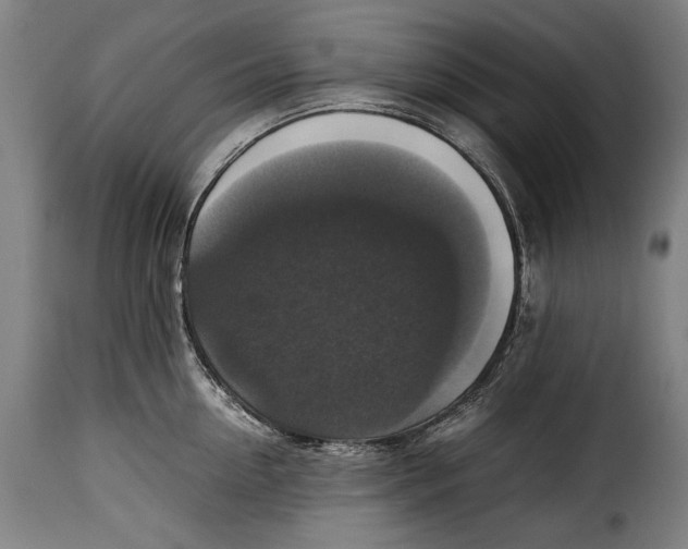 X0000115350954200911241150