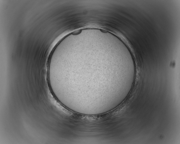 X0000115350955200911241150