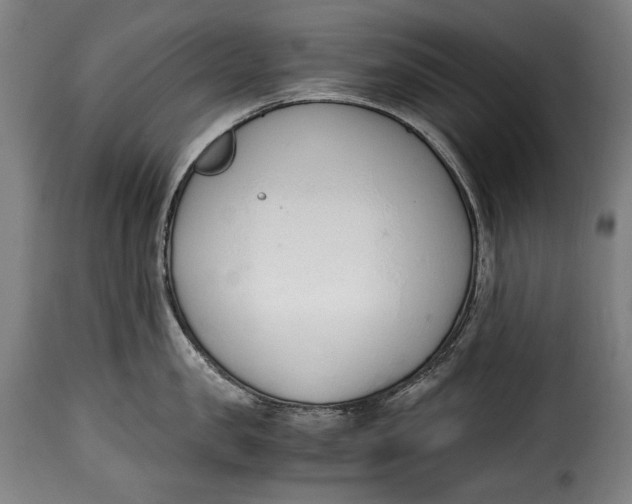 X0000115350957200911241150