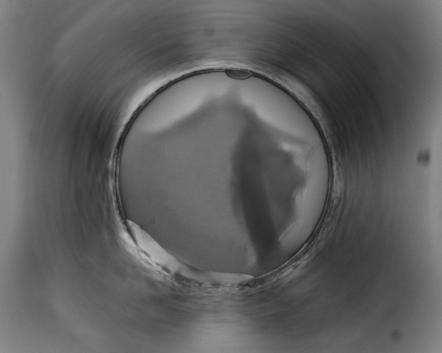 X0000115350958200911241150