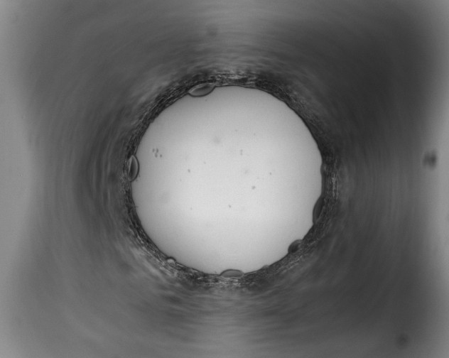 X0000115350961200911241149