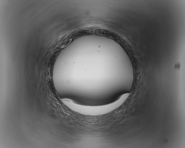 X0000115350965200911241149