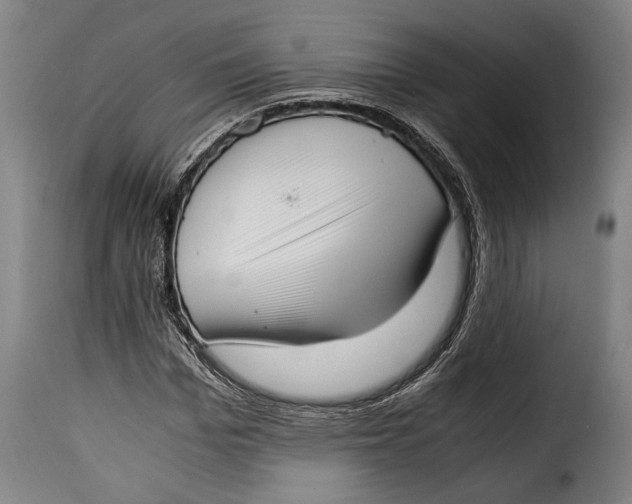 X0000115350969200911241149
