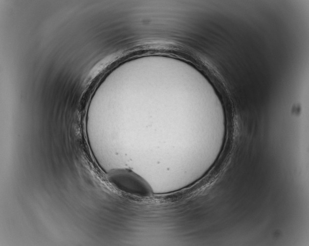X0000115350970200911241149
