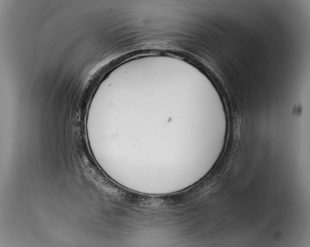 X0000115350971200911241149
