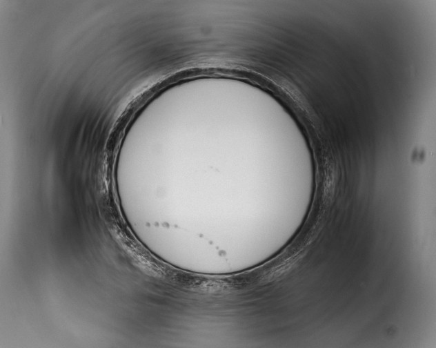 X0000115350974200911241149