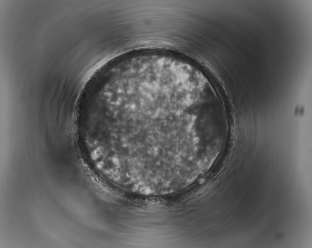 X0000115350975200911241149