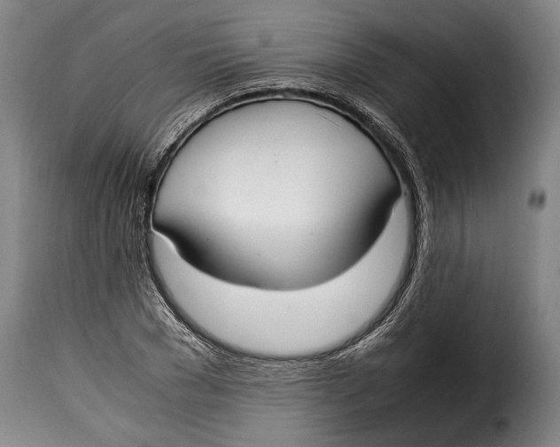 X0000115350977200911241149