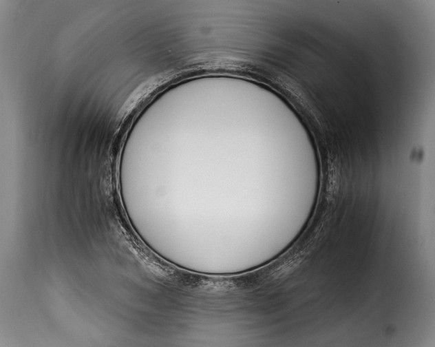 X0000115350978200911241149