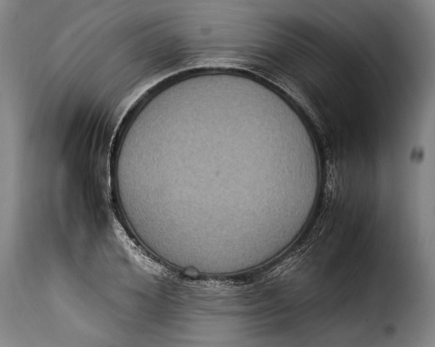 X0000115350980200911241149