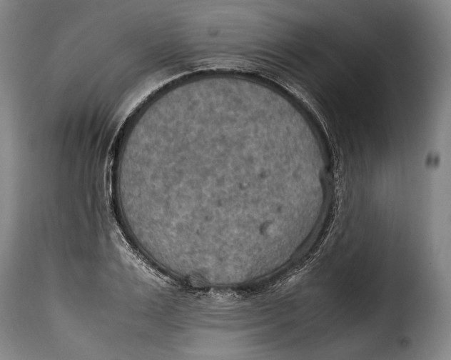 X0000115350983200911241149