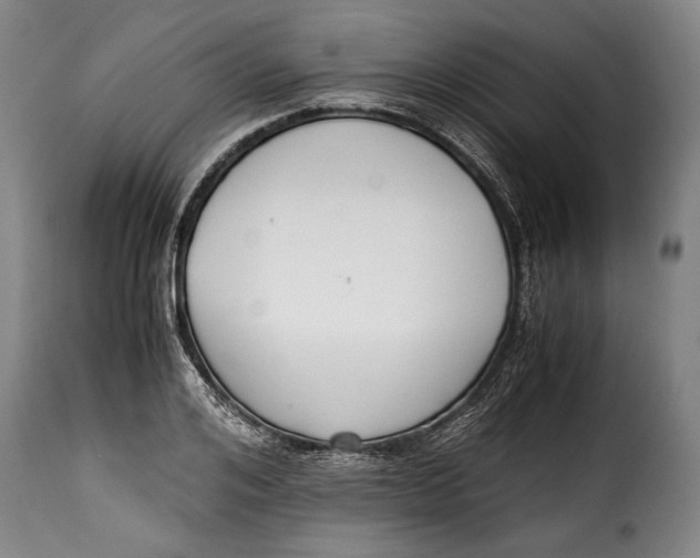 X0000115350984200911241149