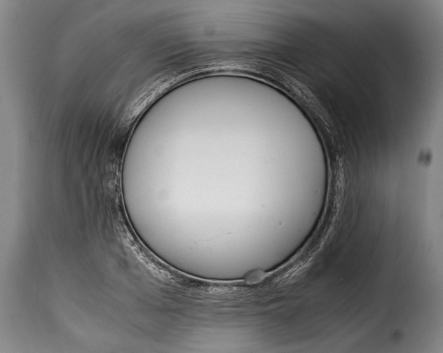X0000115350985200911241149