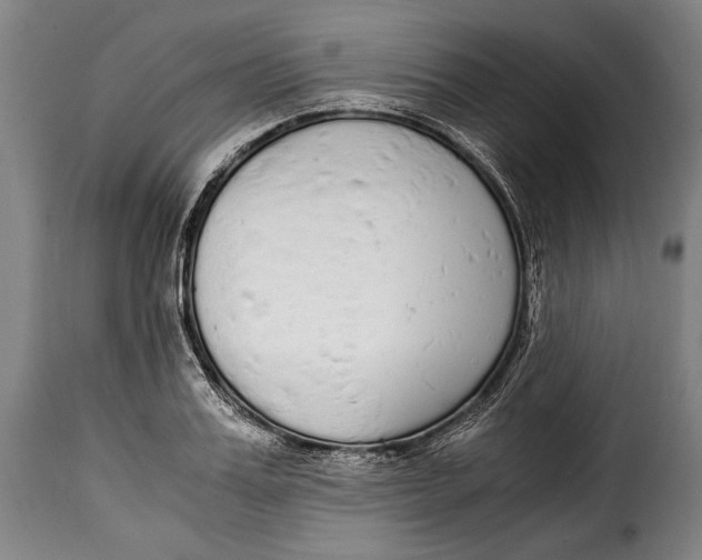 X0000115350987200911241149