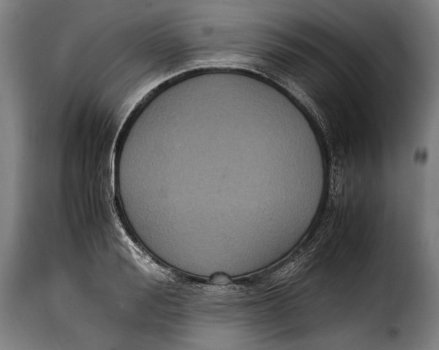 X0000115350988200911241149
